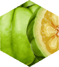 Razalean ingredients - Garcinia Cambogia