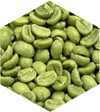 Razalean ingredients - Green coffee bean extract